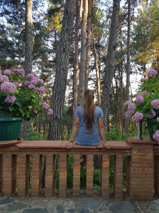 Gartenanlage Semiramis Hotel