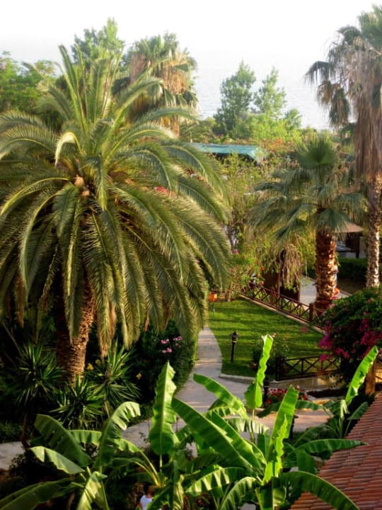 Blick aus unserem Zimmmer Alba Resort Hotel