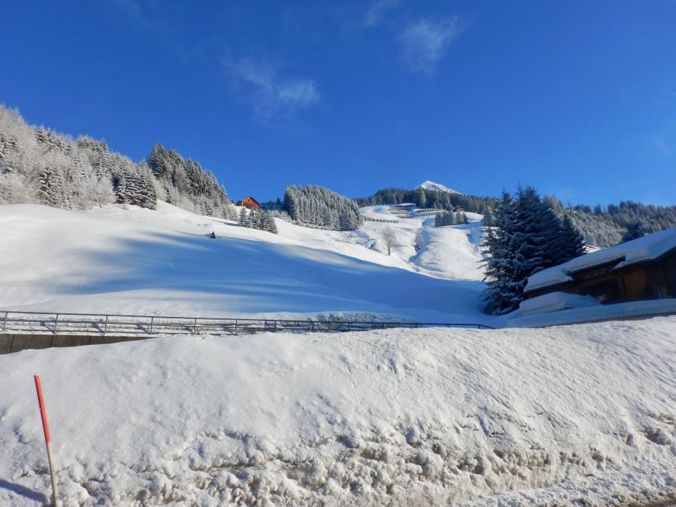 Blick von draußen Richtung Straße Alpina Appartements