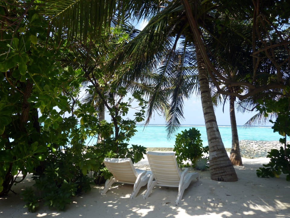 Superiorbungalow 231 Summer Island Maldives