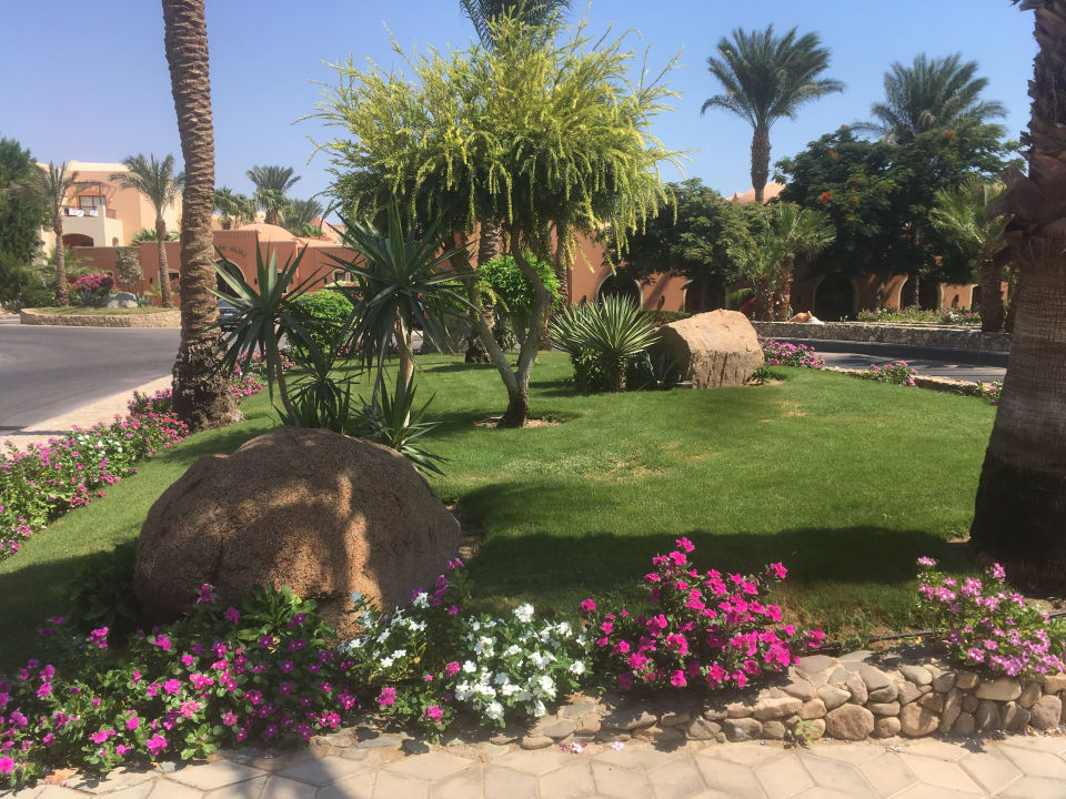 Gartenanlage Jaz Makadi Oasis Resort