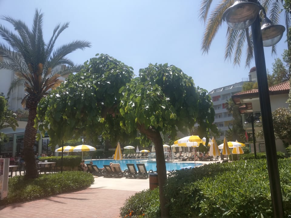 Gastro Hotel Gardenia Beach