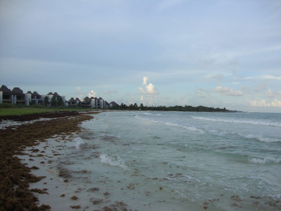 Hotel Catalonia Playa Maroma Catalonia Playa Maroma