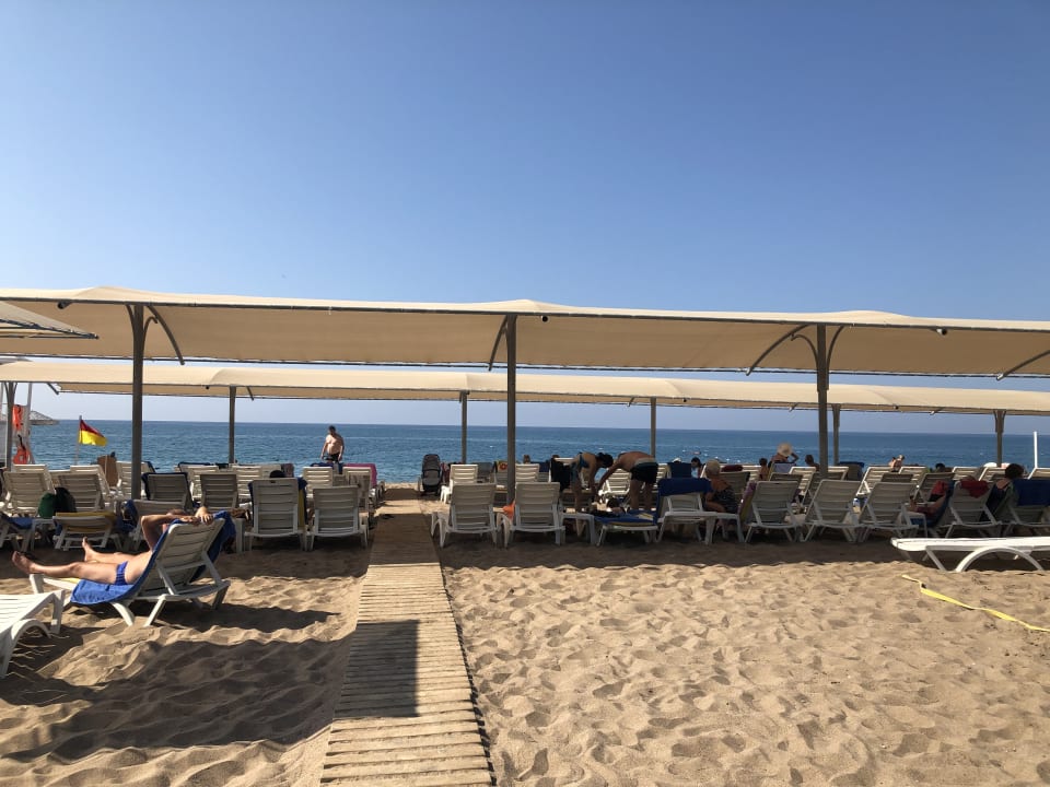 Strand Asteria Collection Side