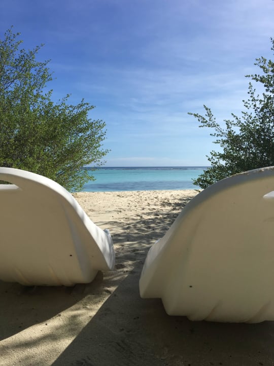 Die Liegen schwimmen Palm Beach Resort & Spa Maldives