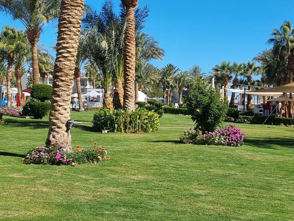 Gartenanlage Amarina Abu Soma Resort & Aquapark
