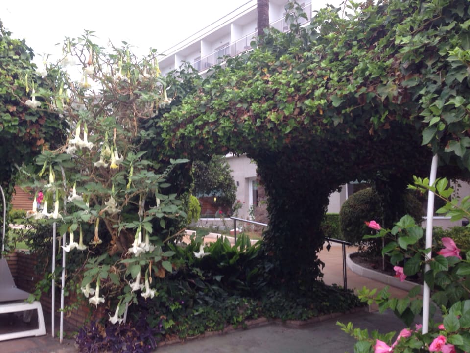 Gartenanlage Hotel Best Siroco