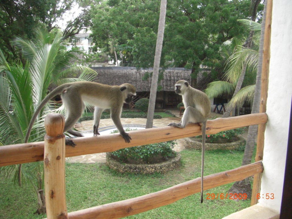 Gäste Hotel Traveller's Club