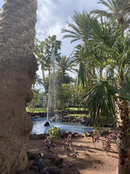 Gartenanlage Hotel Riu Palace Oasis