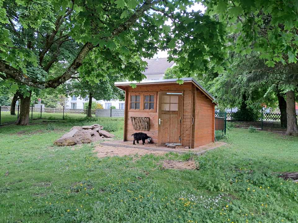 Gartenanlage AHORN Panorama Hotel Oberhof