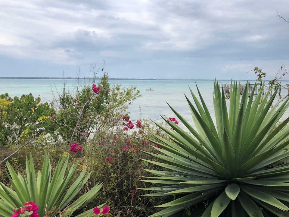 Strand Fruit & Spice Wellness Resort