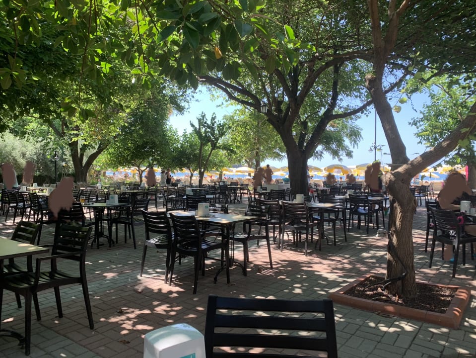 Ausblick Hotel Gardenia Beach