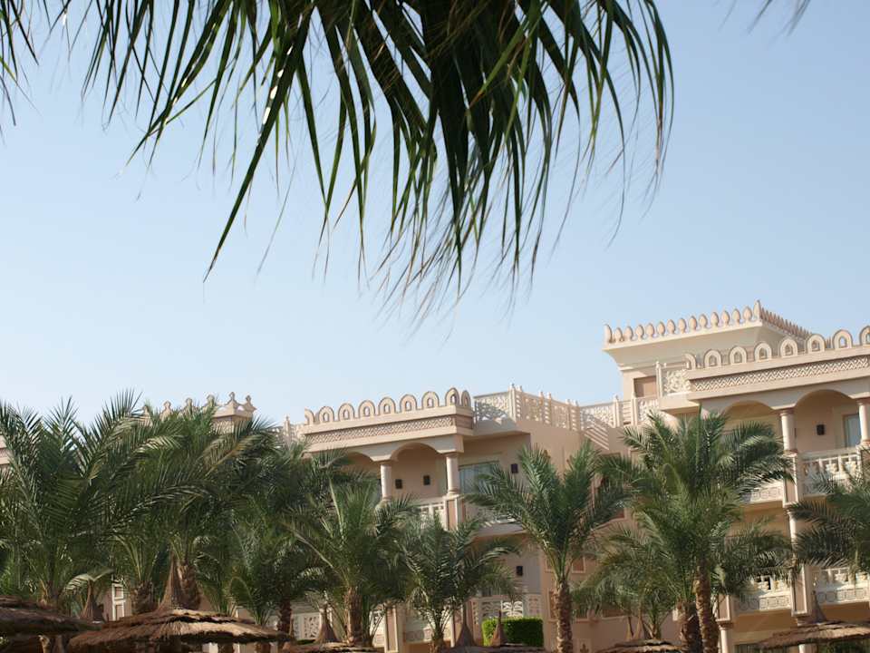 Zimmer Pickalbatros Palace Resort