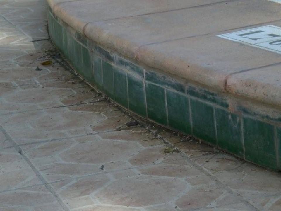Pool Hotel Nesrine