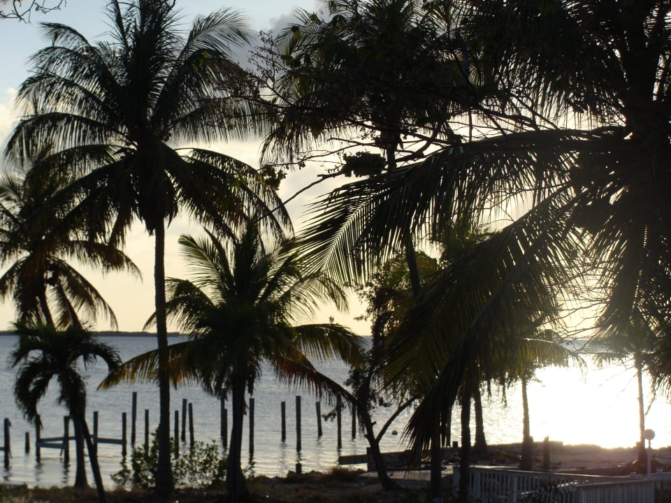 Von der Anlage Richtung Wasser Amy Slate's Amoray Dive Resort