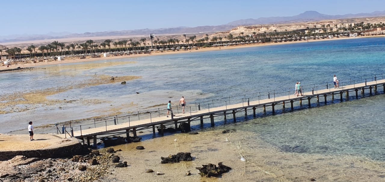 Strand Steigenberger Coraya Beach - Adults only