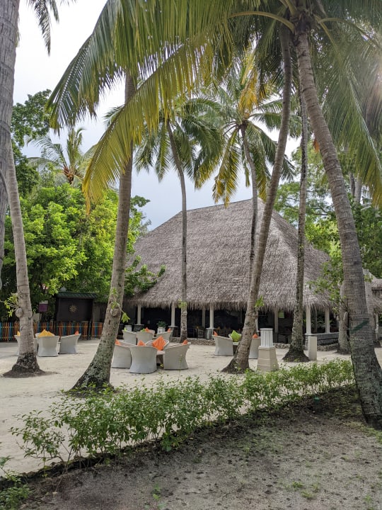 Gastro Ellaidhoo Maldives by Cinnamon