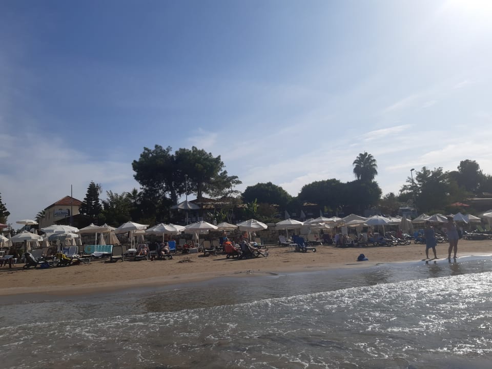 Strand Clover Magic Nova Beach