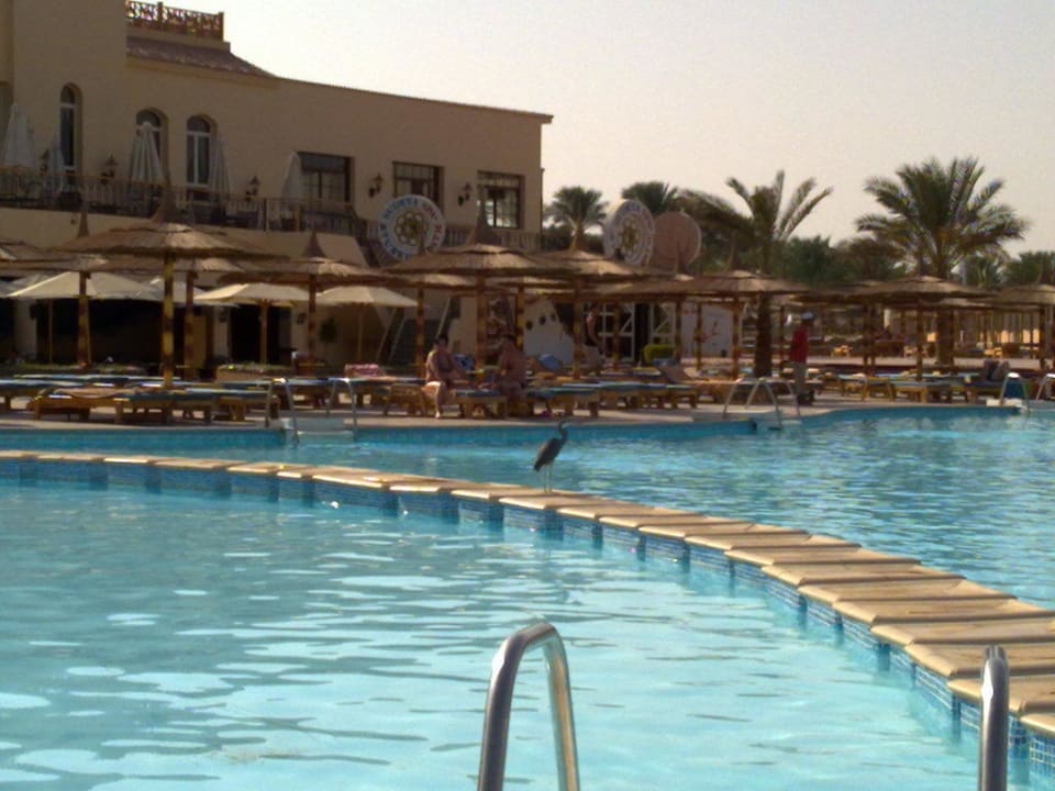 Бассейн Pickalbatros Dana Beach Resort - Hurghada