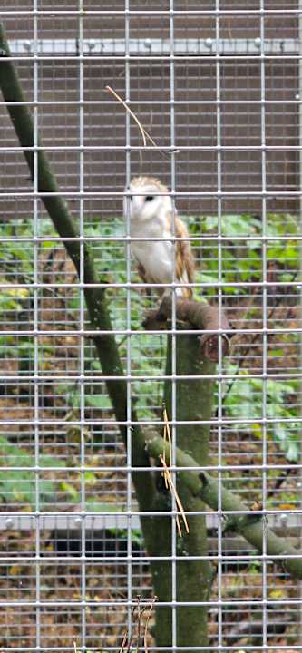 Sport & Freizeit Vestina Wellness & Spa Hotel