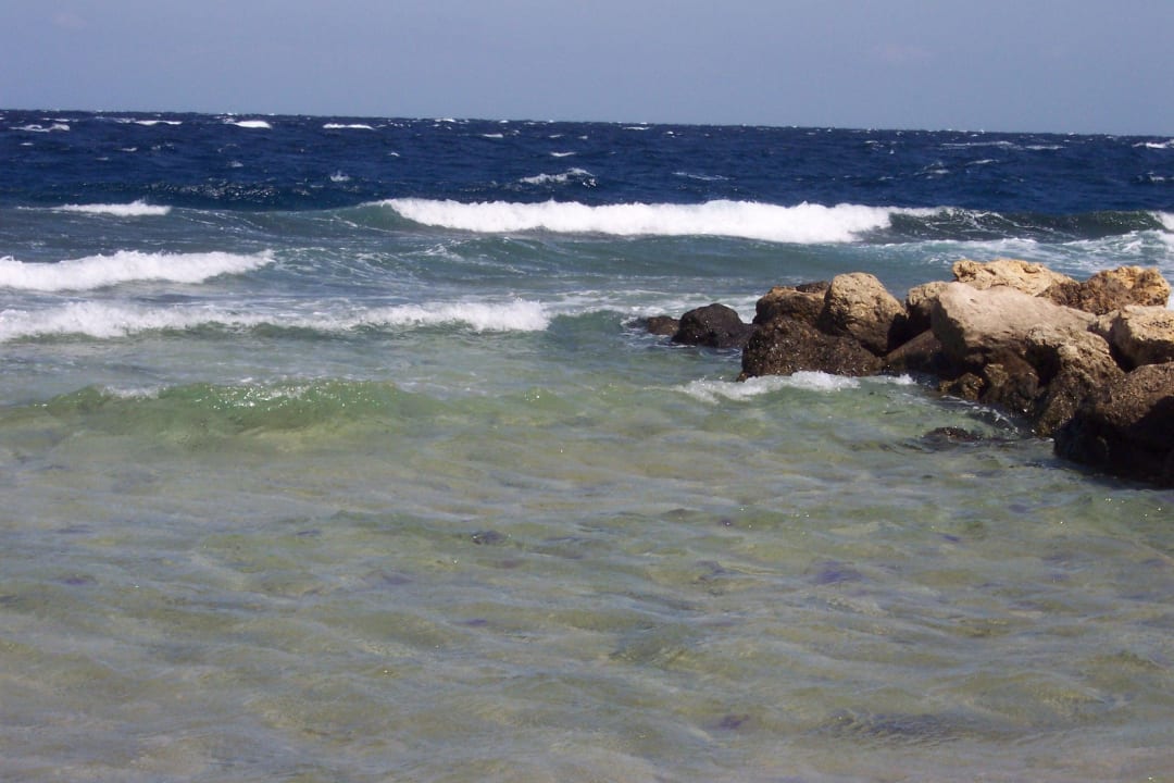 Citadel Azur Resort Pickalbatros Citadel Resort