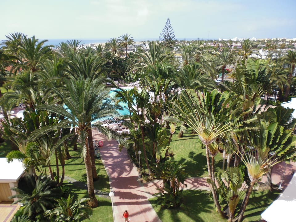  Von Zimmer 416  4 Stock Hotel Riu Palace Palmeras