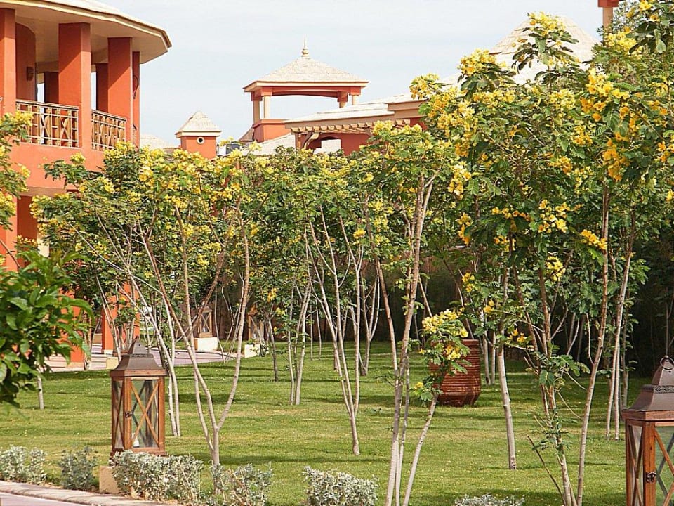Цветы Pickalbatros Alf Leila Wa Leila Resort - Neverland Hurghada