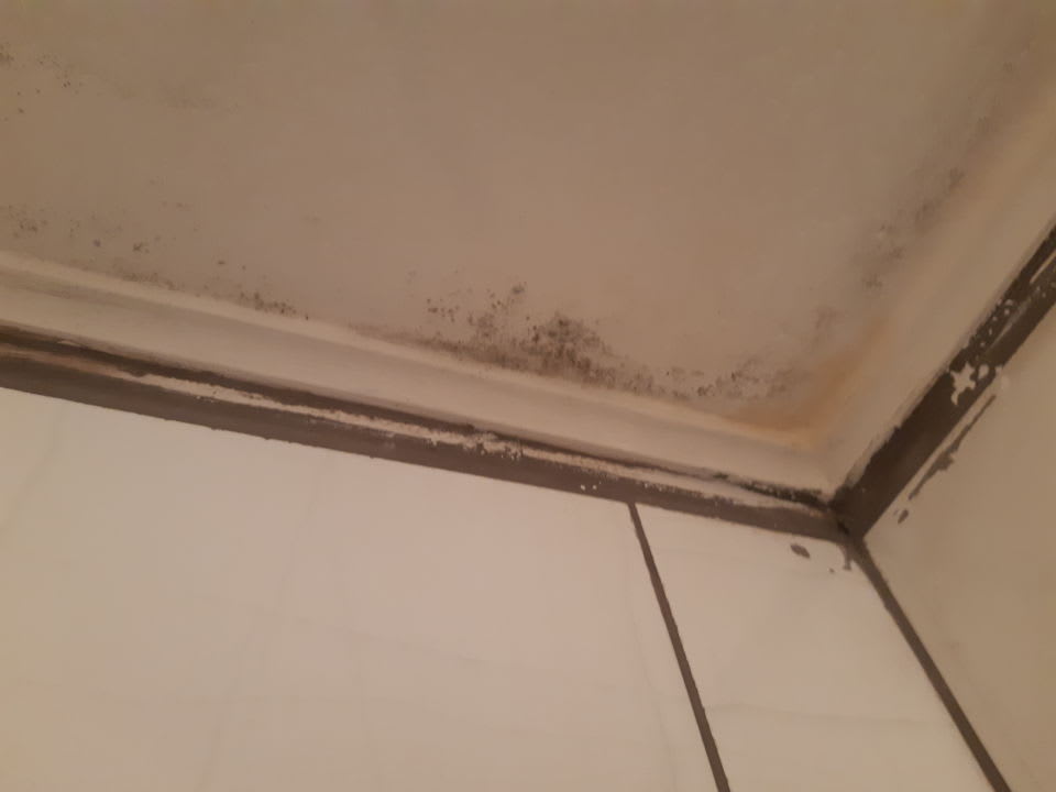 Zimmer Regulus Beach Resort Hotel Kadıkale