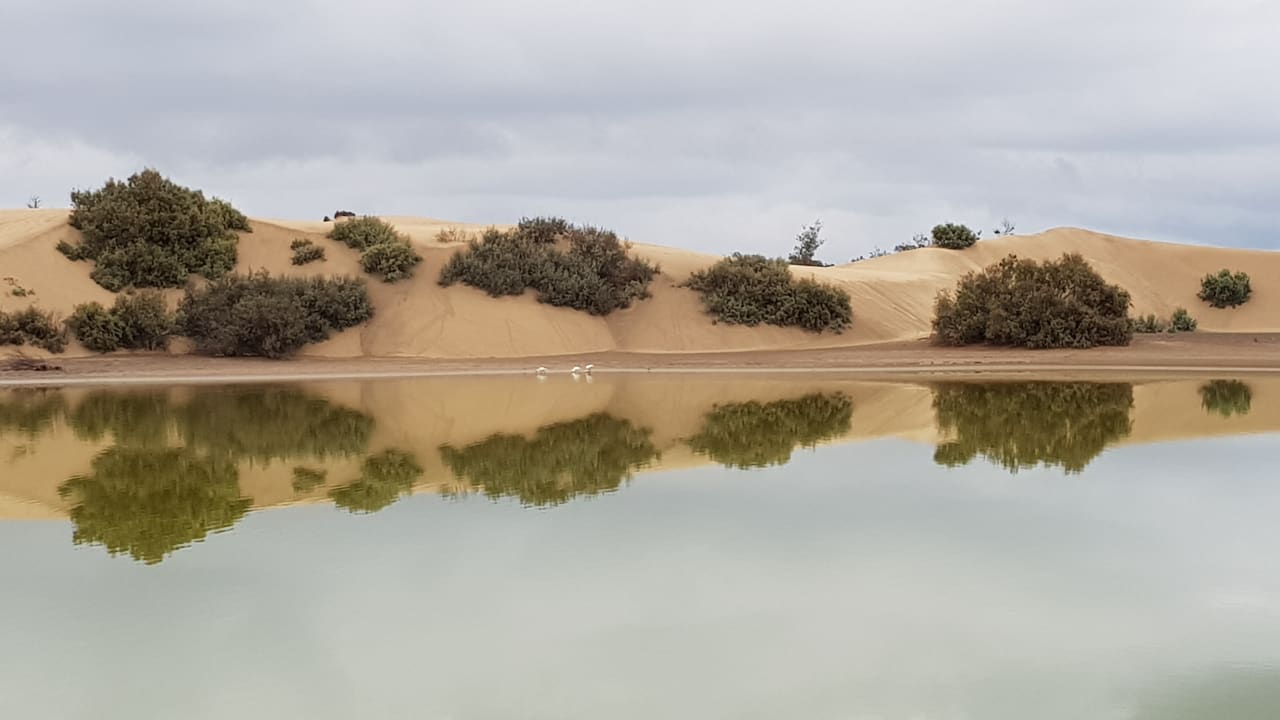 Sonstiges Hotel Riu Gran Canaria