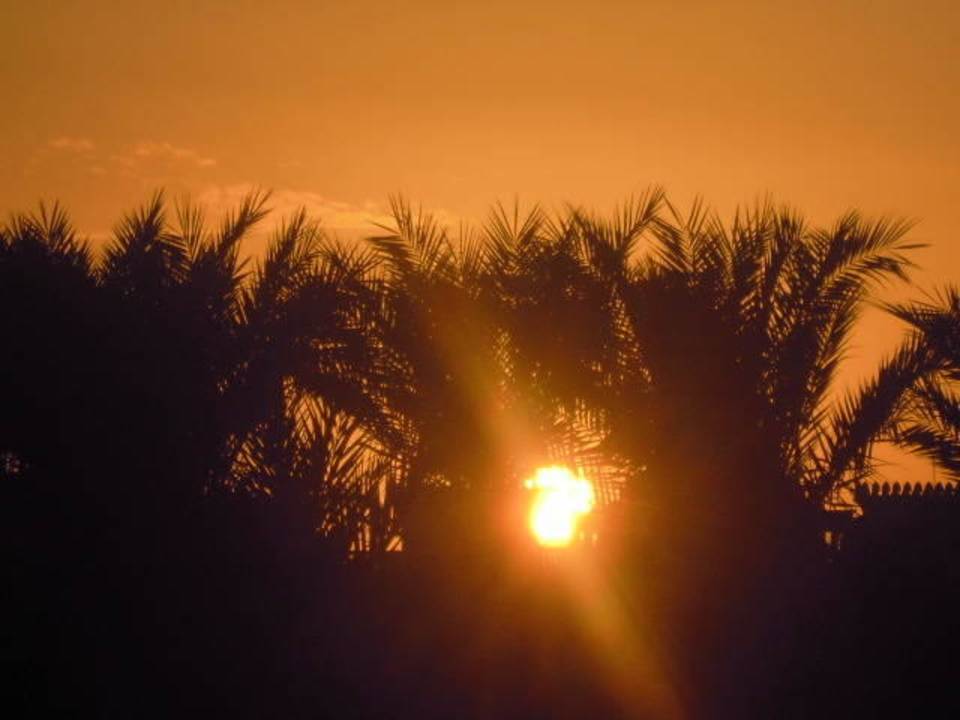 Sonnenuntergang Pickalbatros Palace Resort