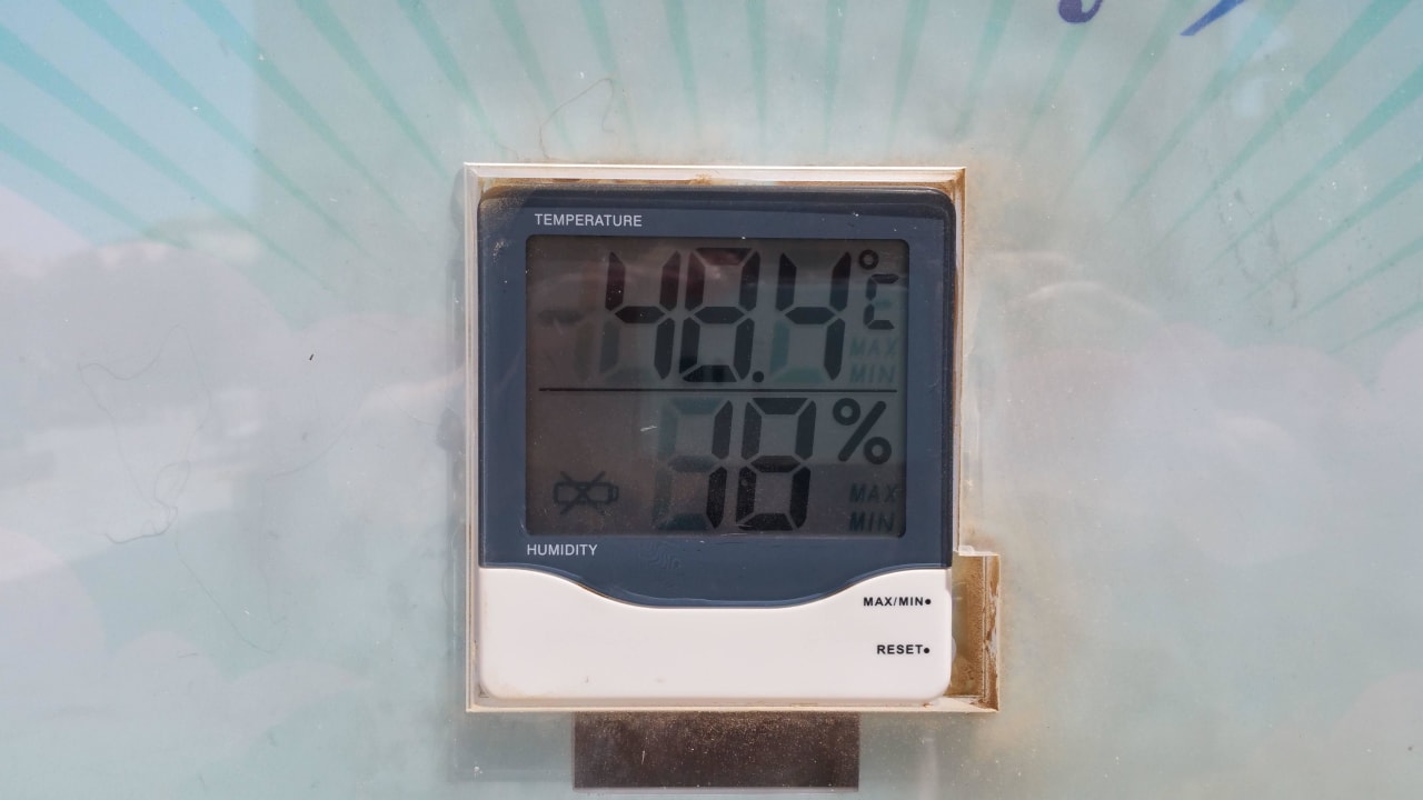 Tagestemperatur in der Sonne gemessen Steigenberger Coraya Beach - Adults only