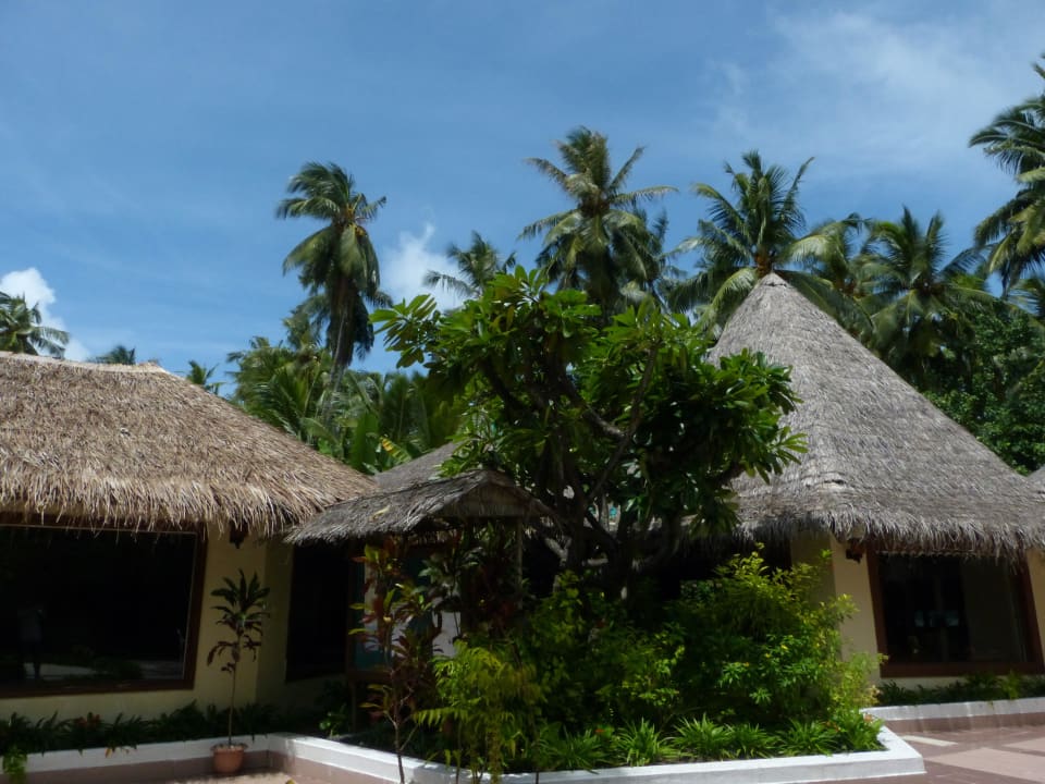 Restaurant und Souvenirshop Biyadhoo Island Resort