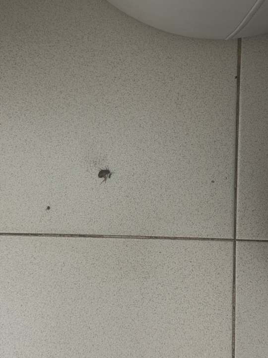 Zimmer Servatur Waikiki