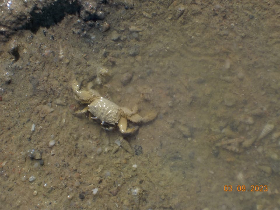 Strand Golden Beach Resort