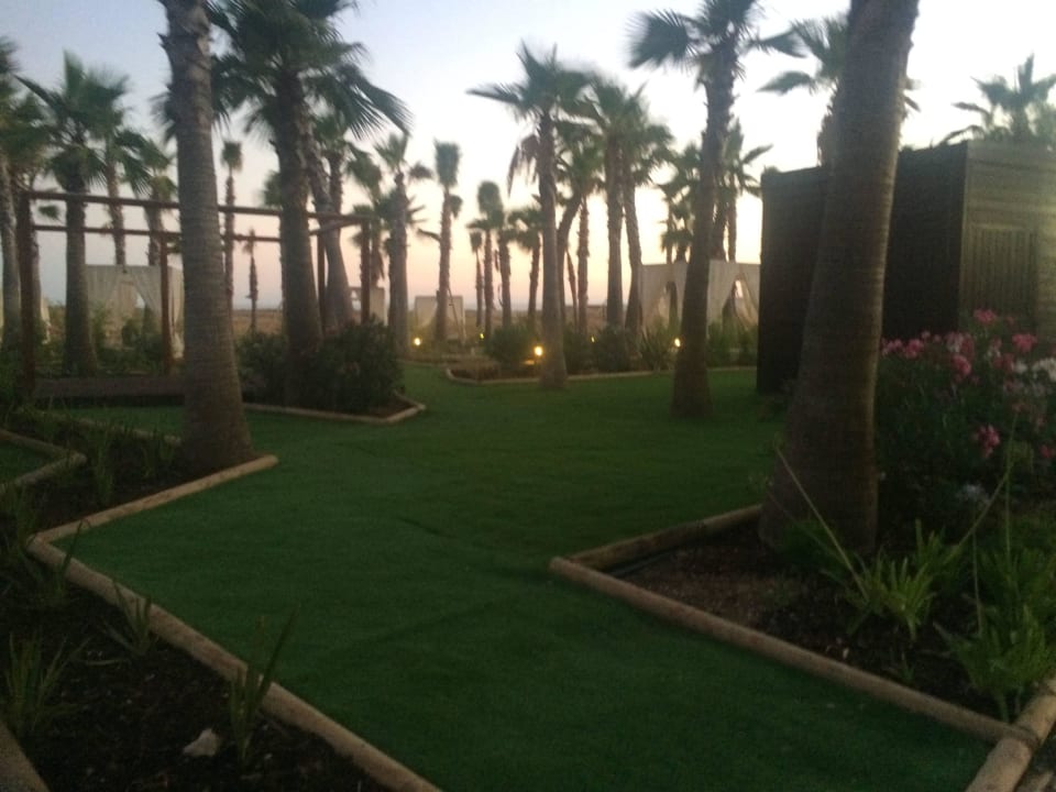 Schöne Außenanlage Vidamar Hotel Resort Algarve