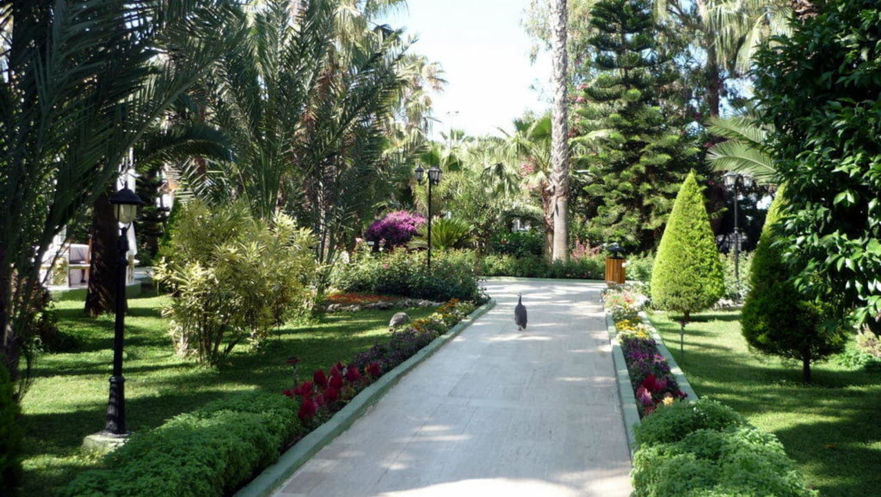 Besser geht nicht Botanik Hotel & Resort