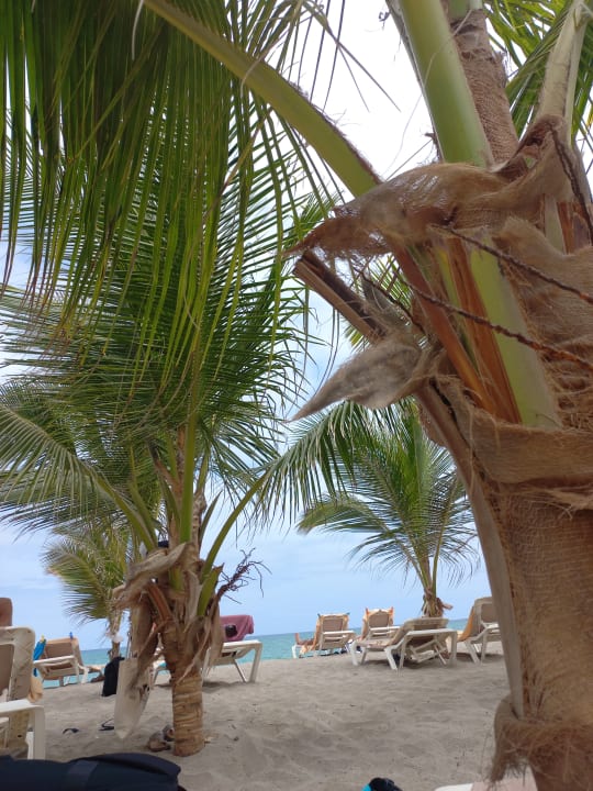 Strand Hotel Riu Karamboa
