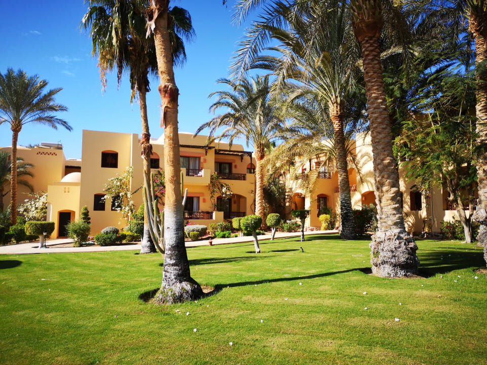 Außenansicht Steigenberger Coraya Beach - Adults only