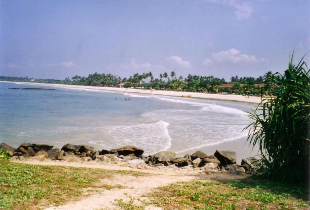 die Beach Thaala Bentota