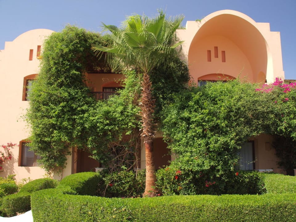 Grüne Oase Steigenberger Coraya Beach - Adults only