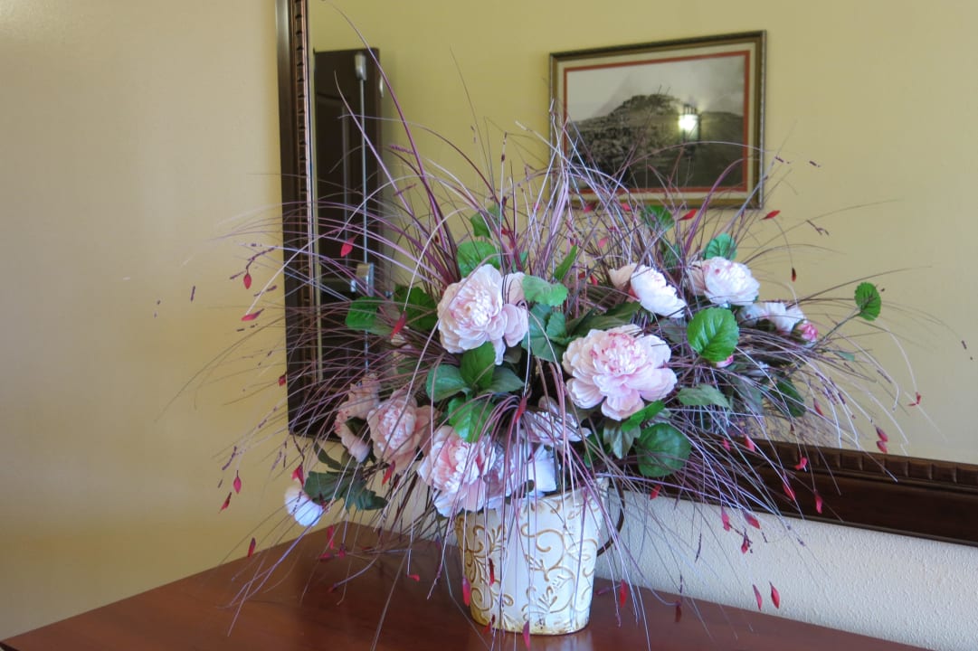 Grosszügige, helle und saubere Zimmer! Moenkopi Legacy Inn & Suites