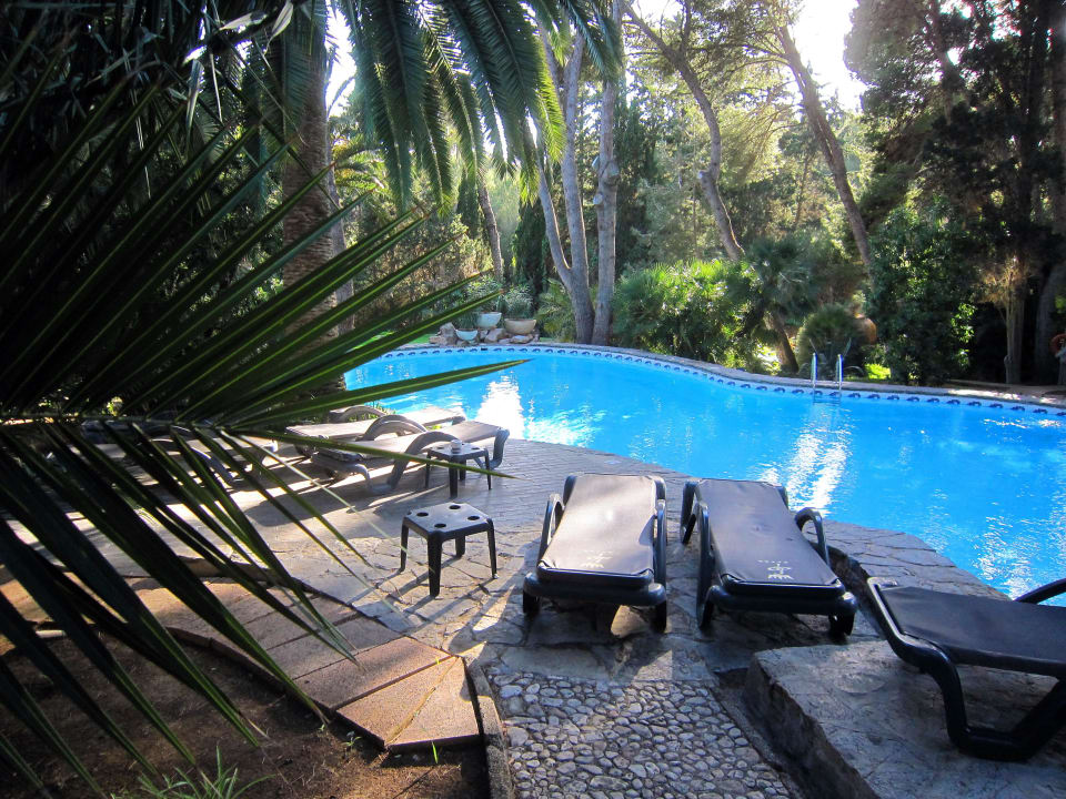 Pool Lago Garden