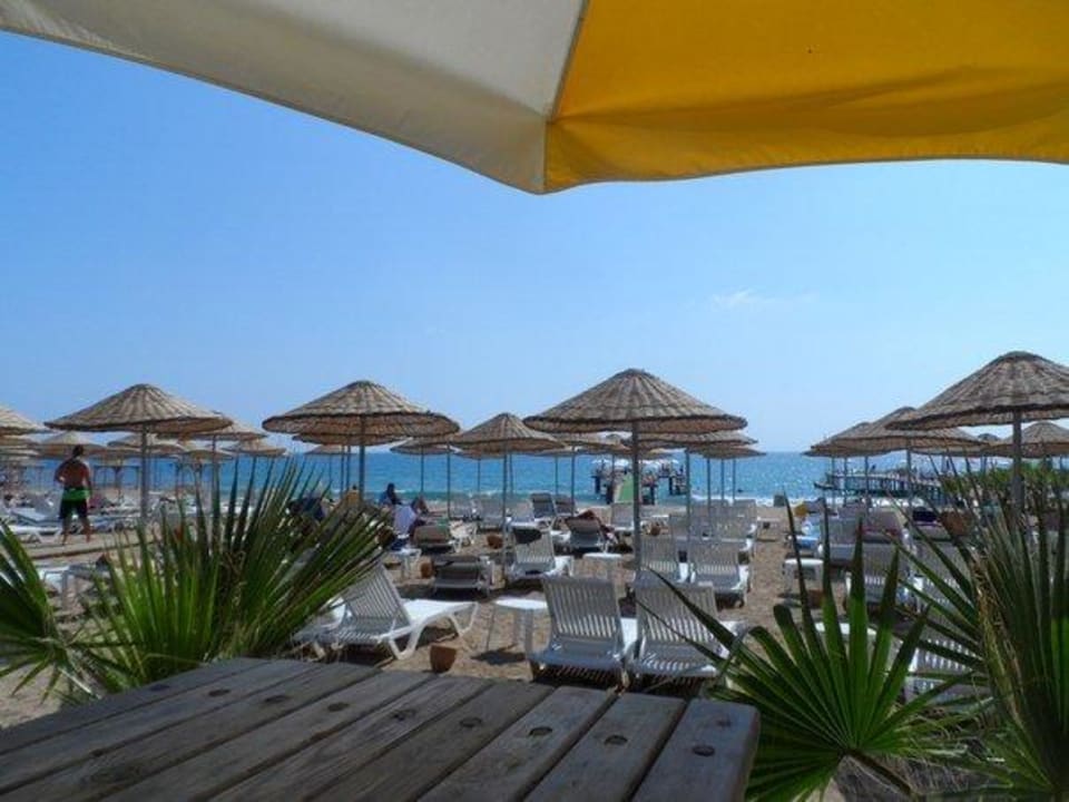 Пляж Dizalya Palm Garden