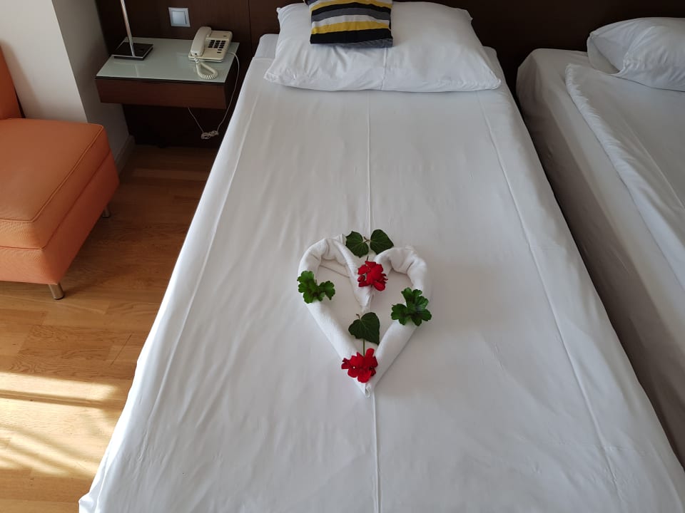 Zimmer Arum Barut Collection