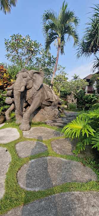 Pool Anumana Village Ubud