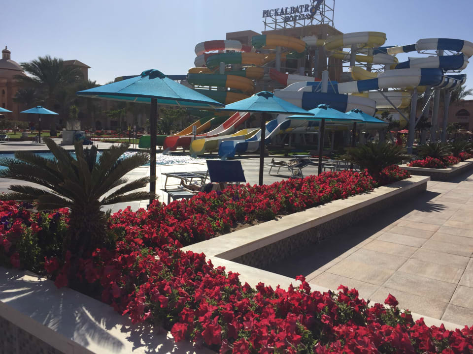 Sport & Freizeit Pickalbatros Aqua Park Resort - Hurghada