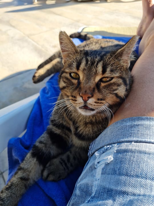 Pool Sunis Evren Beach Resort Hotel & Spa