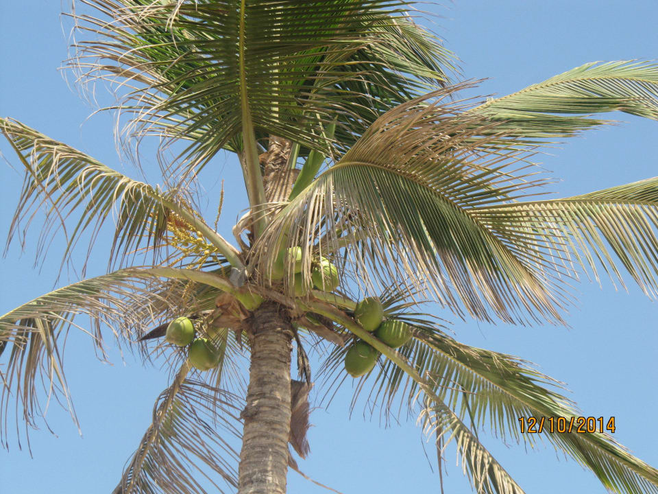 Strand Salalah Rotana Resort