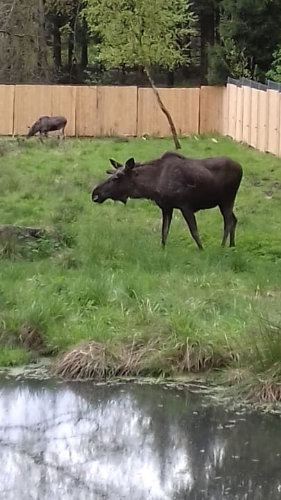Ausblick Hotel Ferienpark Merkelbach