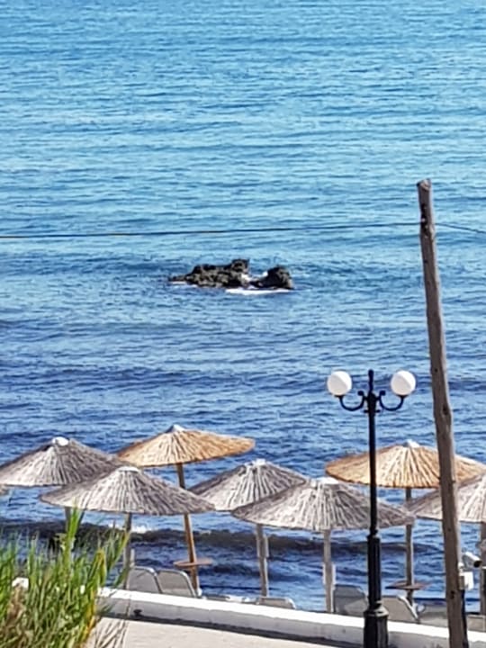 Ausblick Hotel Corissia Princess